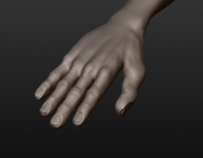 SculptHand.PNG